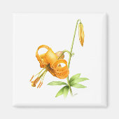 Wild Tiger Lily Magnet (Vorne)