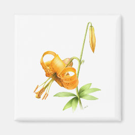 Wild Tiger Lily Magnet