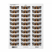 Wild Tiger Portrait Graphic Press Style (Vorne)