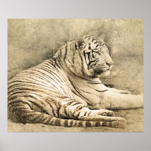 Wild Tiger Safari Jungle Artwork Foto Poster (Vorne)