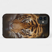 Wild Tiger Wildlife Fine Art Mobile iPhone Case (Rückseite (Horizontal))