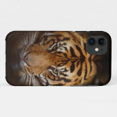 Wild Tiger Wildlife Fine Art Mobile iPhone Case (Rückseite (Horizontal))