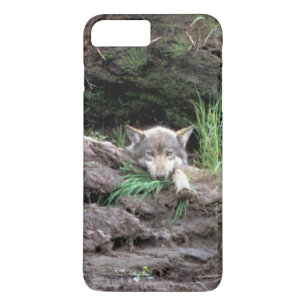 Wild Timber Wolf Cub in Den Case-Mate iPhone Hülle