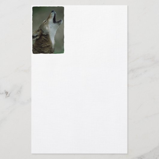 Wild Timber Wolf Howling Briefpapier (Vorderseite)