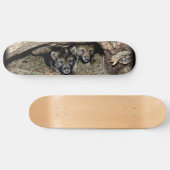 Wild Timber Wolf Twin Cubs in Den Skateboard (Horizontal)