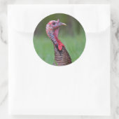 Wild Tom Runder Aufkleber (Tasche)