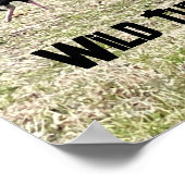 Wild Trukeys Poster (Ecke)