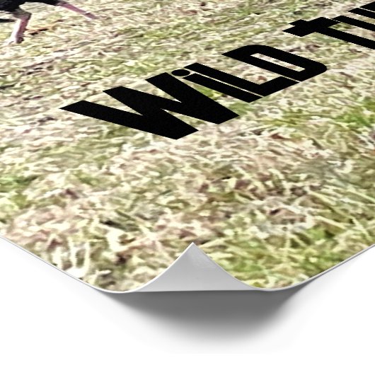 Wild Trukeys Poster (Ecke)