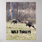 Wild Trukeys Poster (Vorne)