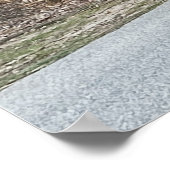 Wild Trukeys Poster (Ecke)