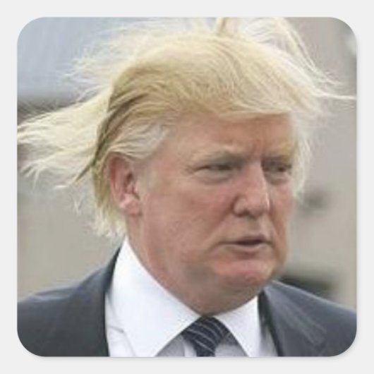 Wild Trump Hair Quadratischer Aufkleber (Vorderseite)
