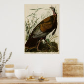 Wild Turkey_Audubon_Poster Poster (Küche)