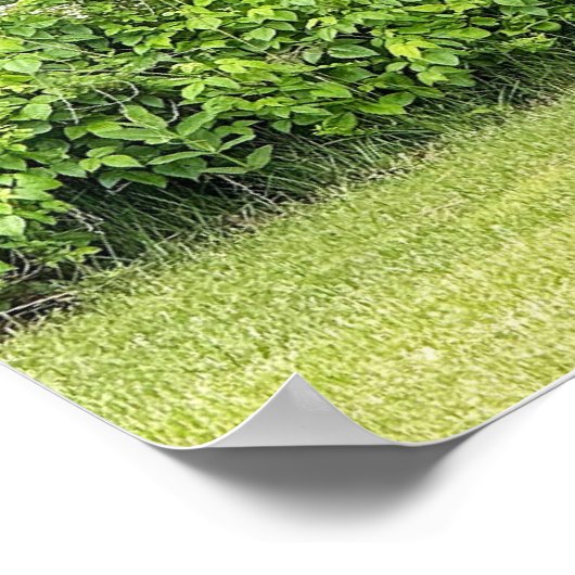 Wild Turkey Bird Poster (Ecke)