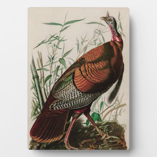 Wild Turkey Birds of America Audubon Print Fotoplatte (Vorderseite)