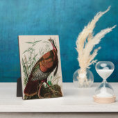 Wild Turkey Birds of America Audubon Print Fotoplatte (Seite)