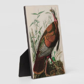 Wild Turkey Birds of America Audubon Print Fotoplatte (Seite)