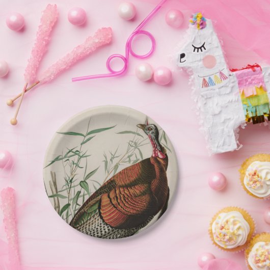 Wild Turkey Birds of America Audubon Print Pappteller (Party)