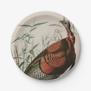 Wild Turkey Birds of America Audubon Print Pappteller