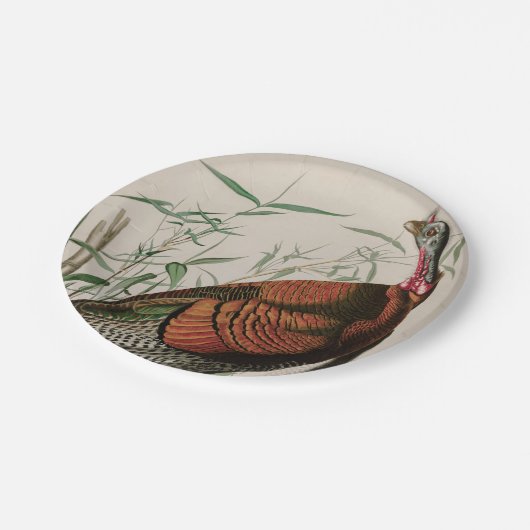 Wild Turkey Birds of America Audubon Print Pappteller (Schrägansicht)