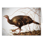 Wild Turkey Blank Card (Vorderseite (Horizontal))