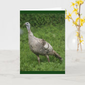 Wild Turkey Card Karte (Gelbe Blume)