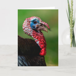 Wild Turkey Dankeschön Card Dankeskarte