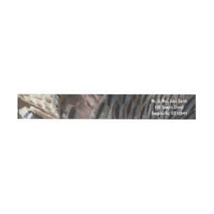 Wild Turkey Feathers I Abstrakt Nature Design