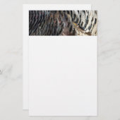 Wild Turkey Feathers I Abstrakt Nature Design Briefpapier (Vorne/Hinten)