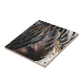 Wild Turkey Feathers I Abstrakt Nature Design Fliese (Seite)