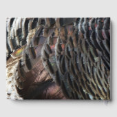 Wild Turkey Feathers I Abstrakt Nature Design Gästebuch (Rückseite)