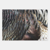 Wild Turkey Feathers I Abstrakt Nature Design Geschenkpapier Set (Vorderseite)