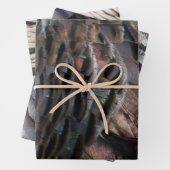 Wild Turkey Feathers I Abstrakt Nature Design Geschenkpapier Set (Beispiel)
