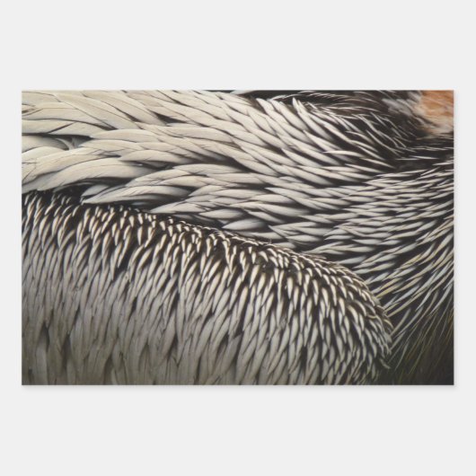 Wild Turkey Feathers I Abstrakt Nature Design Geschenkpapier Set (Vorderseite 3)