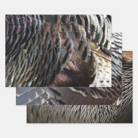 Wild Turkey Feathers I Abstrakt Nature Design Geschenkpapier Set (Set)