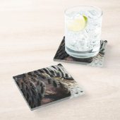 Wild Turkey Feathers I Abstrakt Nature Design Glasuntersetzer (Schrägansicht)