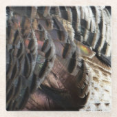 Wild Turkey Feathers I Abstrakt Nature Design Glasuntersetzer (Vorderseite)