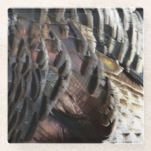 Wild Turkey Feathers I Abstrakt Nature Design Glasuntersetzer