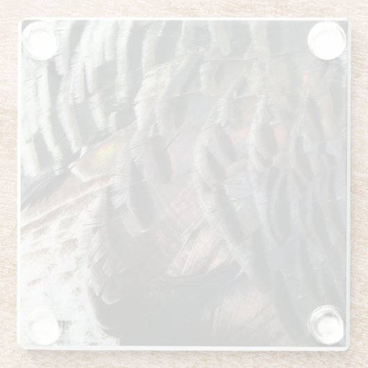 Wild Turkey Feathers I Abstrakt Nature Design Glasuntersetzer (Rückseite)