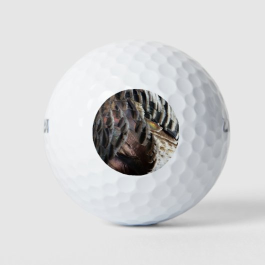 Wild Turkey Feathers I Abstrakt Nature Design Golfball (Vorderseite)