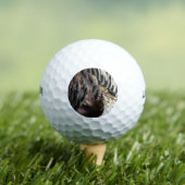 Wild Turkey Feathers I Abstrakt Nature Design Golfball (Insitu T-Shirt)