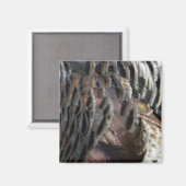 Wild Turkey Feathers I Abstrakt Nature Design Magnet (Vorderseite/Rückseite)