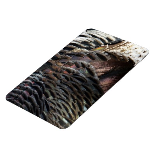 Wild Turkey Feathers I Abstrakt Nature Design Magnet (Linke Seite)