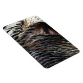 Wild Turkey Feathers I Abstrakt Nature Design Magnet (Rechte Seite)