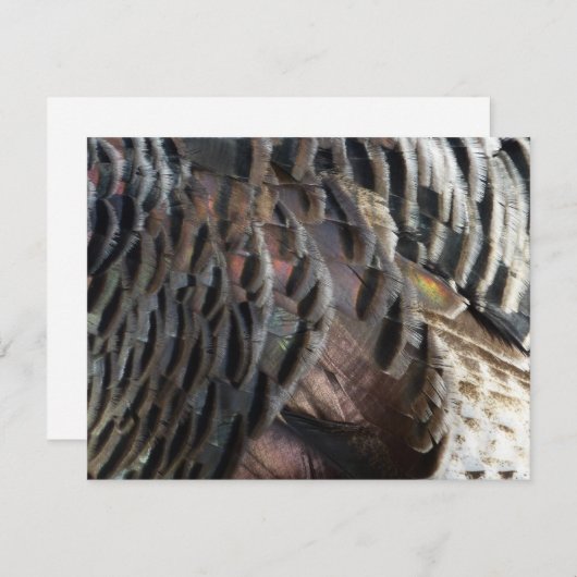 Wild Turkey Feathers I Abstrakt Nature Design Mitteilungskarte (Vorne/Hinten)
