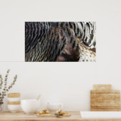 Wild Turkey Feathers I Abstrakt Nature Design Poster (Küche)
