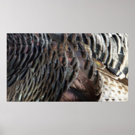 Wild Turkey Feathers I Abstrakt Nature Design Poster (Vorne)