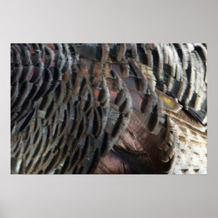 Wild Turkey Feathers I Abstrakt Nature Design Poster