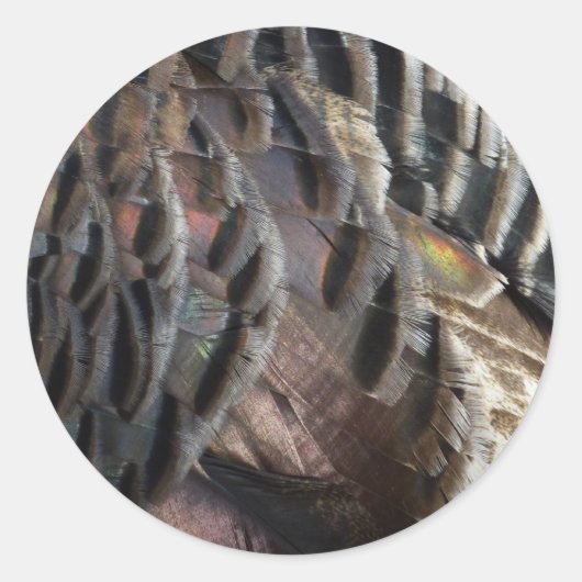 Wild Turkey Feathers I Abstrakt Nature Design Runder Aufkleber (Vorderseite)