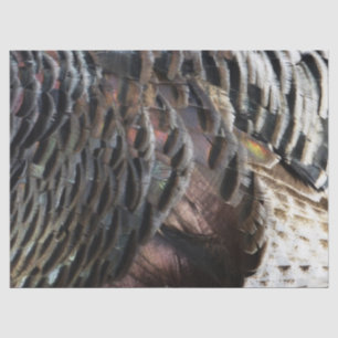 Wild Turkey Feathers I Abstrakt Nature Design Seidenpapier