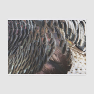 Wild Turkey Feathers I Abstrakt Nature Design Seidenpapier